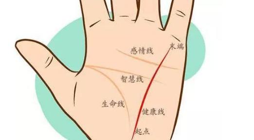 女人手相事業(yè)線圖解大全，女人手相事業(yè)線怎么看？