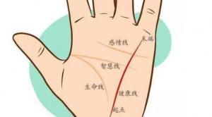 女人手相事業(yè)線圖解大全，女人手相事業(yè)線怎么看？