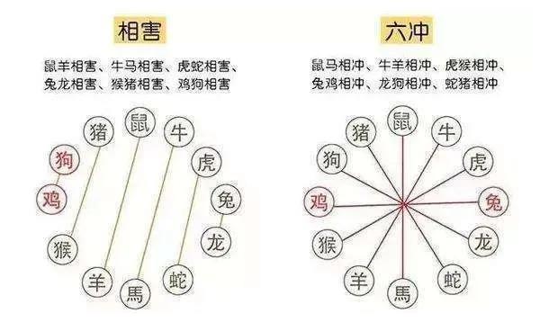 生肖相沖真的不能在一起嗎，怎么化解？
