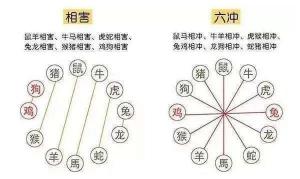 生肖相沖真的不能在一起嗎，怎么化解？