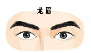 龍眉的男人命運，男人龍眉面相！