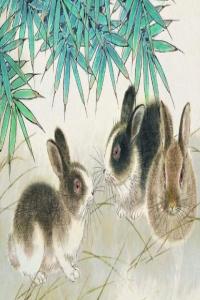 卜算子算命網(wǎng)