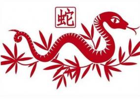 屬蛇的和什么屬相最配、相克