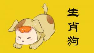 屬狗2024年運(yùn)勢(shì)及運(yùn)程詳解，屬狗人2024年每月運(yùn)勢(shì)完整版！
