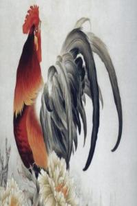 卜算子算命網(wǎng)