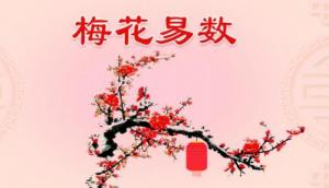 梅花易數(shù)是怎么回事？