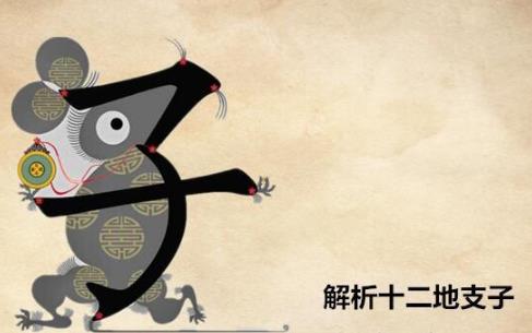 十二地支子是什么意思，五行屬什么？