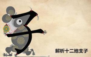 十二地支子是什么意思，五行屬什么？