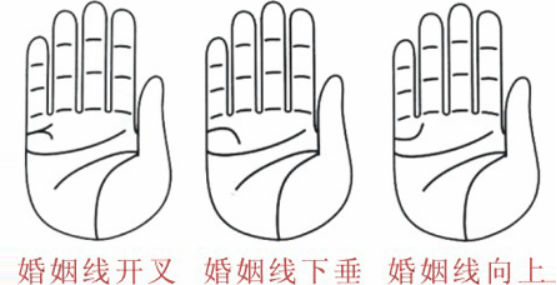 婚姻線分叉代表什么，婚姻線分叉是什么意思？