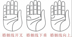 婚姻線分叉代表什么，婚姻線分叉是什么意思？