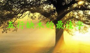 五行缺木的最佳字，五行缺木屬性的字大全！