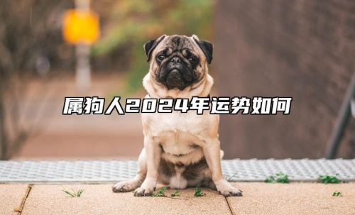 屬狗人2024年全年運(yùn)勢運(yùn)程，屬狗人2024年每月運(yùn)勢及運(yùn)程詳解！