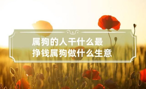 屬狗人做什么行業(yè)發(fā)財