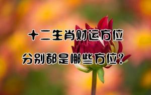 十二生肖財(cái)位對照表