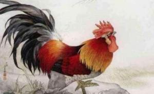 卜算子算命網(wǎng)