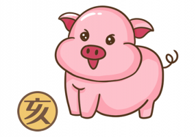 屬豬人2024年全年運(yùn)勢及運(yùn)程，屬豬人2024年每月運(yùn)勢及運(yùn)程！