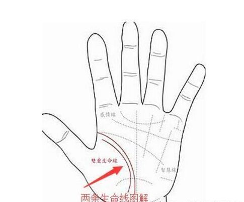 雙重生命線好不好,兩條生命線好不好？