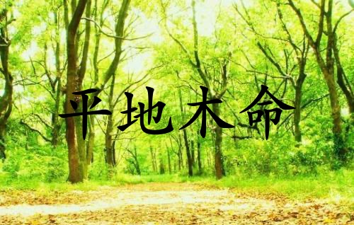平地木命是什么意思