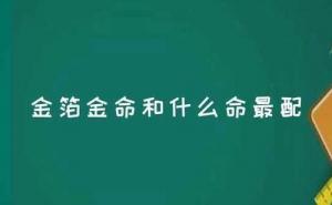 金箔金命和什么命最配