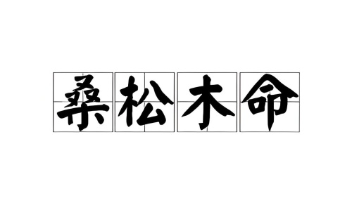 桑柘木命的女人的命運