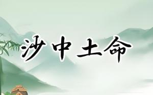 沙中土命適合干什么行業(yè)