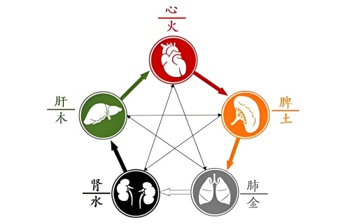 五行內(nèi)臟對(duì)照表，五行內(nèi)臟對(duì)應(yīng)關(guān)系！