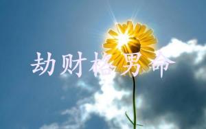 劫財格男命適合什么工作