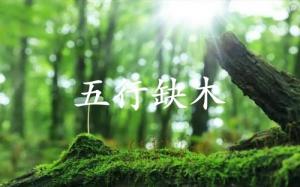 五行缺木的人婚姻怎么樣？