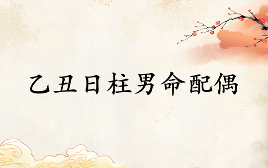 乙丑日柱男命配偶性格特點(diǎn)