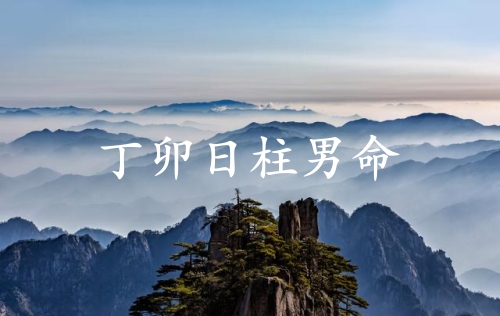 丁卯日柱男命運詳解