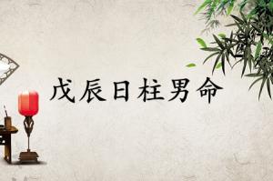 戊辰日柱男命運詳解