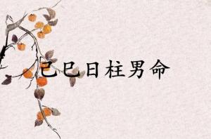 己巳日柱男命運詳解