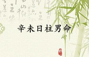 辛未日柱男命運詳解