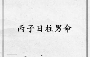 丙子日柱男命運詳解