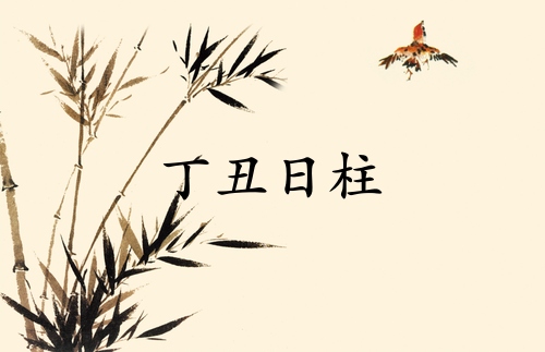 丁丑日柱三命通會(huì)精論