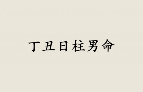丁丑日柱男命運(yùn)詳解