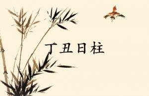 丁丑日柱三命通會精論