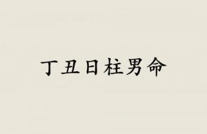 丁丑日柱男命運詳解