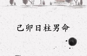己卯日柱男命運詳解