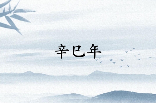 辛巳年是哪一年的屬什么生肖