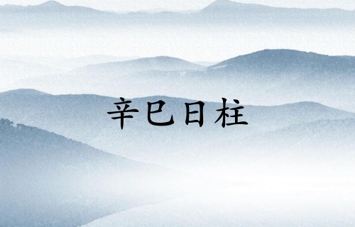 辛巳日柱三命精論