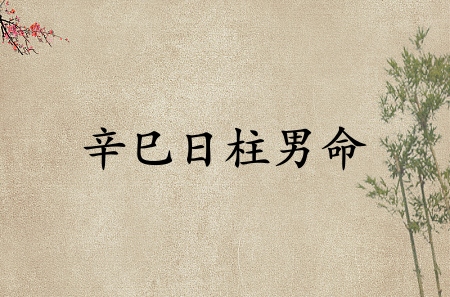 辛巳日柱男命運詳解