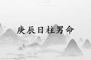 庚辰日柱男命運詳解