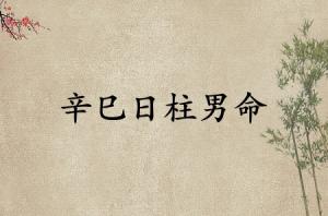 辛巳日柱男命運詳解