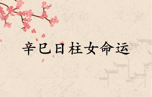 辛巳日柱女命運分析