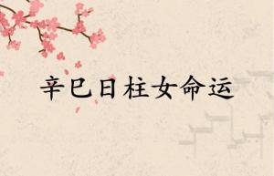 辛巳日柱女命運分析