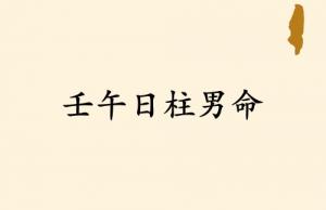 壬午日柱男命運詳解