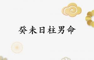 癸未日柱男命運詳解