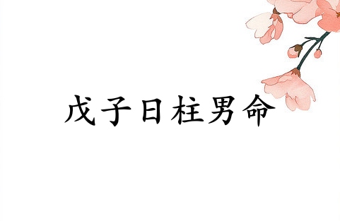 戊子日柱男命運詳解