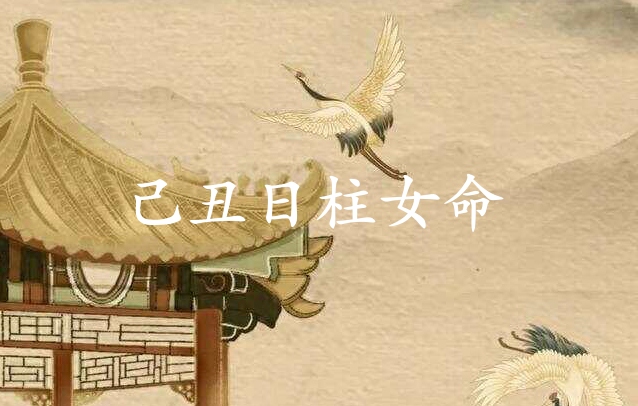 己丑日柱女命運分析